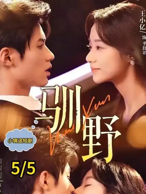 县城故事 二哥影院现实主义剧集